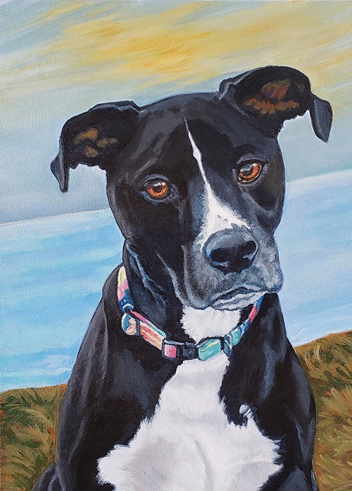 Shelby by Renee Schneider