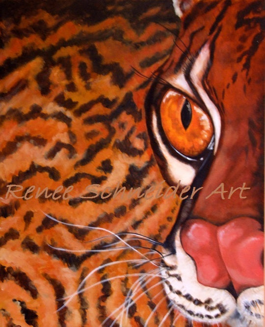 Seeing Spots by Renee Schneider