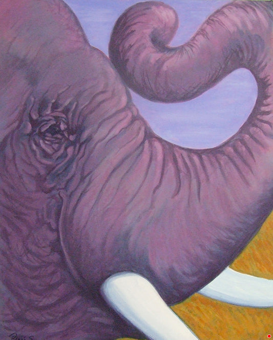 Wrinkels in Time by Renee Schneider