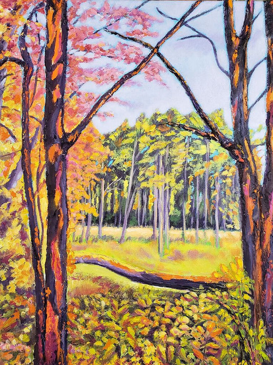 A Walk in the Woods by Renee Schneider