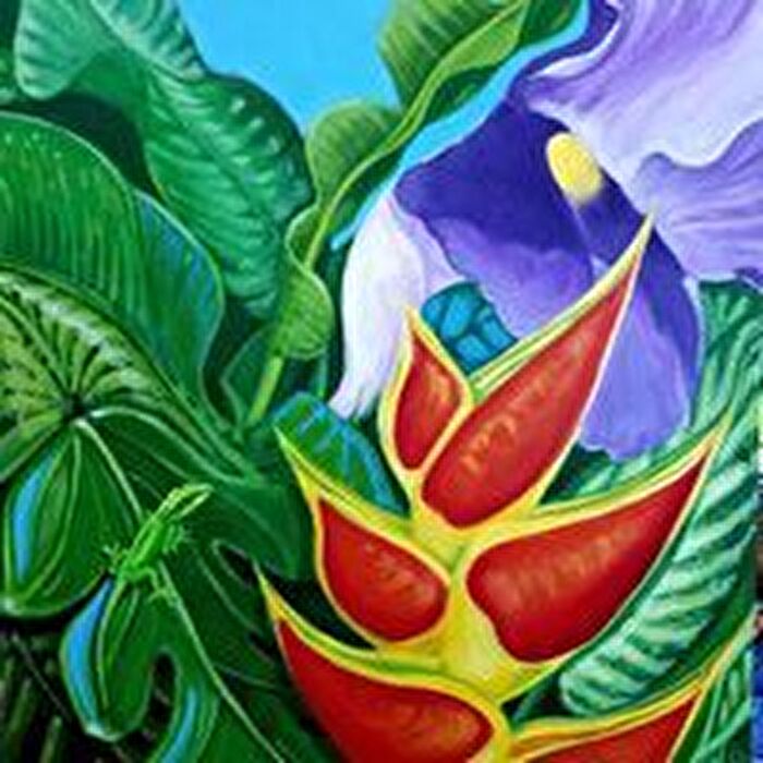 Barbados Lizard by Renee Schneider
