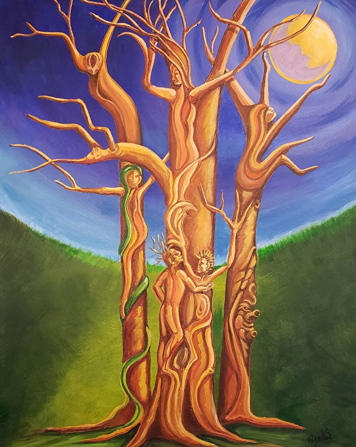 The Secret Life of Trees by Renee Schneider
